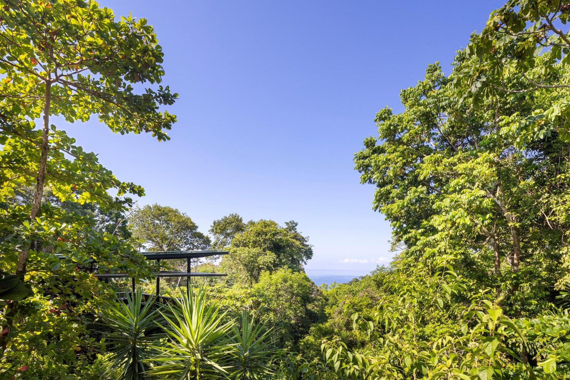 El Remanso Rainforest Lodge Puerto Jiménez Dış mekan fotoğraf