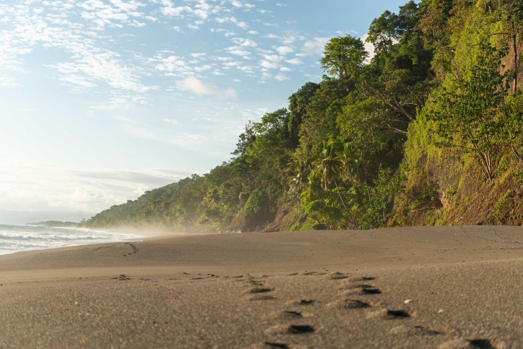 El Remanso Rainforest Lodge Puerto Jiménez Dış mekan fotoğraf