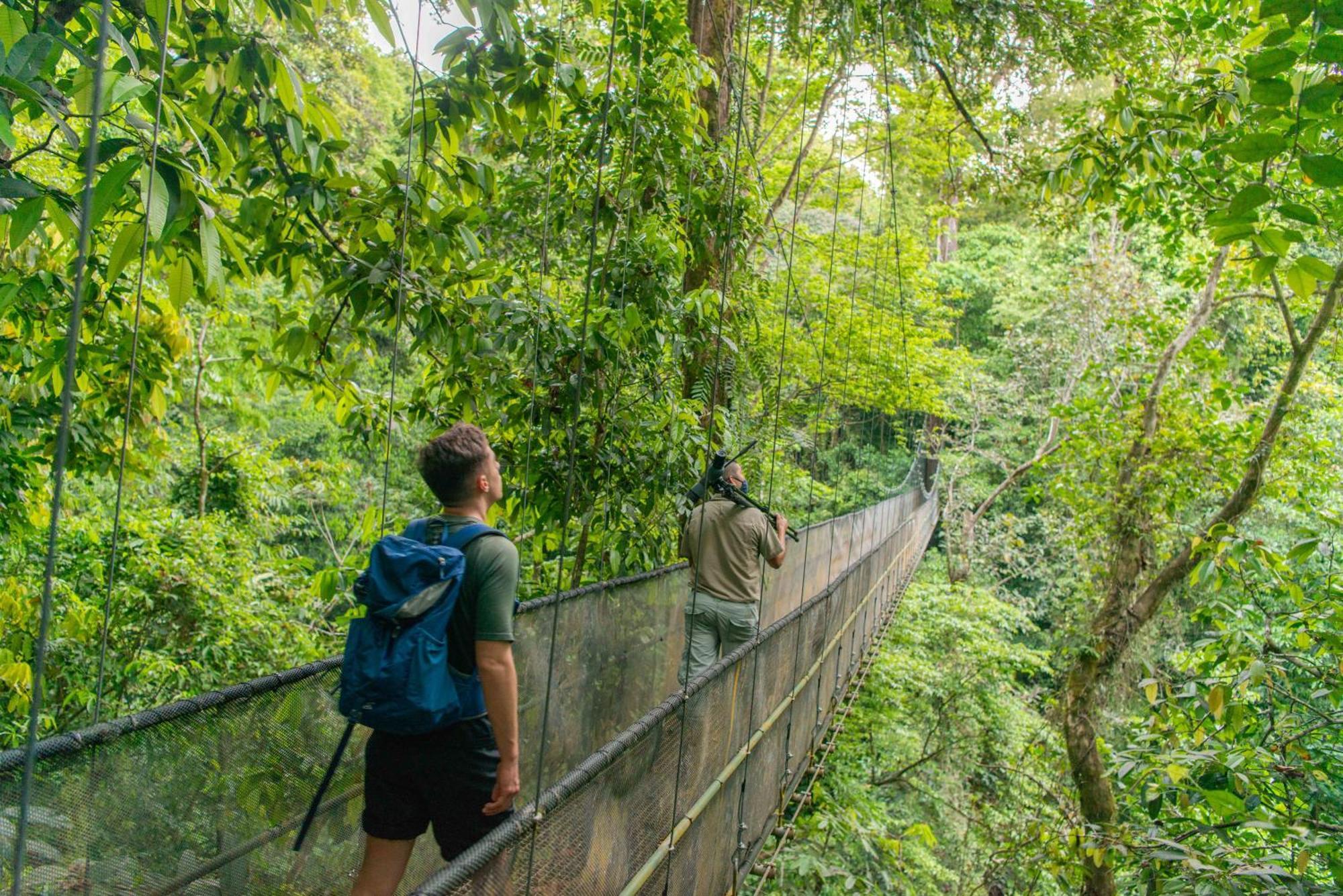 El Remanso Rainforest Lodge Puerto Jiménez Dış mekan fotoğraf