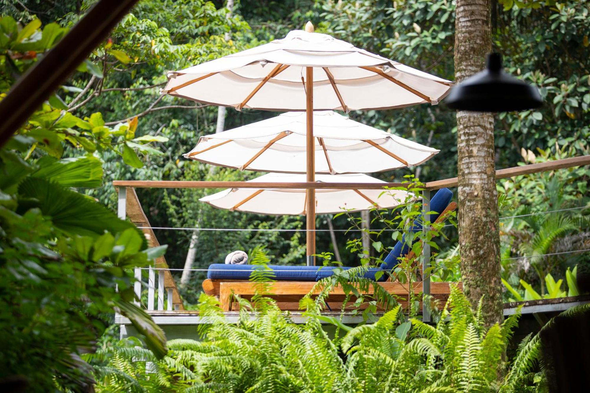 El Remanso Rainforest Lodge Puerto Jiménez Dış mekan fotoğraf