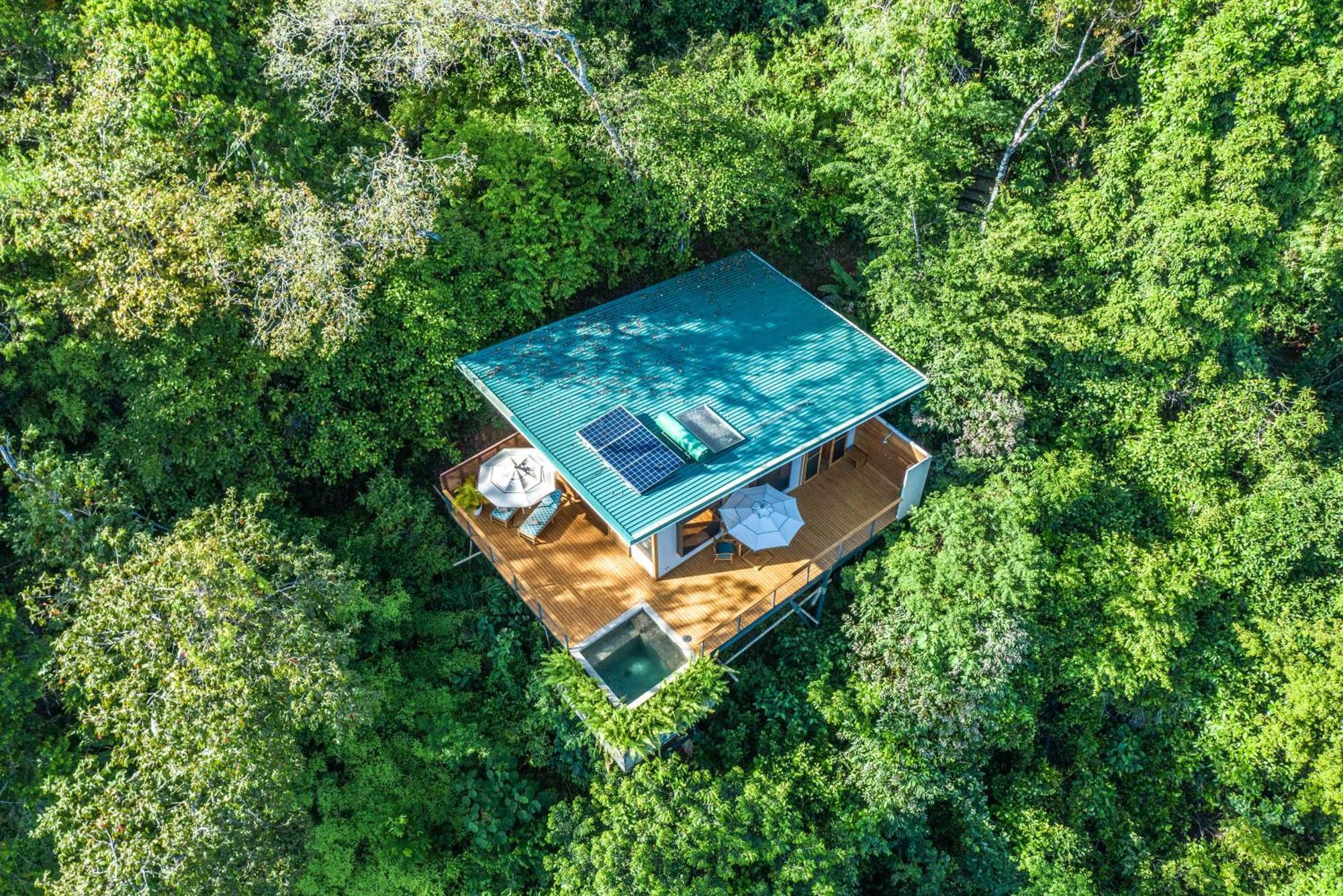 El Remanso Rainforest Lodge Puerto Jiménez Dış mekan fotoğraf
