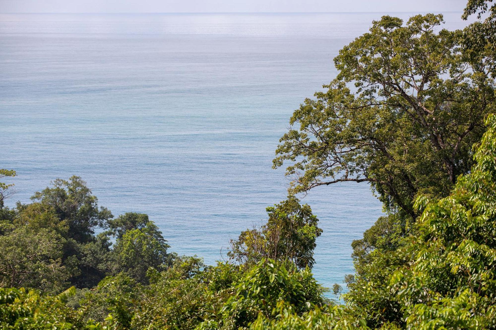 El Remanso Rainforest Lodge Puerto Jiménez Dış mekan fotoğraf