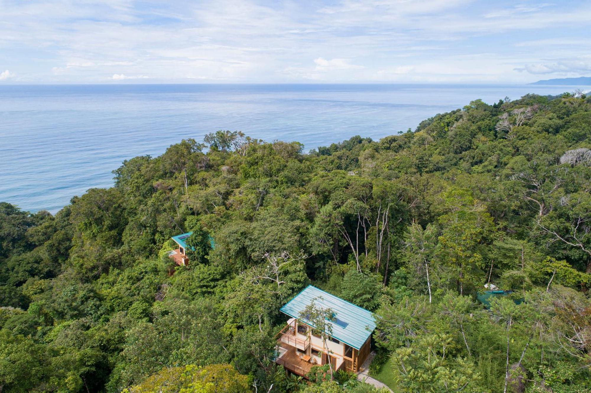 El Remanso Rainforest Lodge Puerto Jiménez Dış mekan fotoğraf